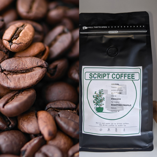 Script Coffee Beans